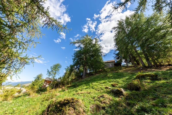 Chalet de haut standing à constuire, Veillas 2, résidence principale 3
