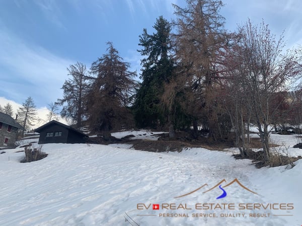 Chalet familial de haut standing - Résidence principale uniquement 4