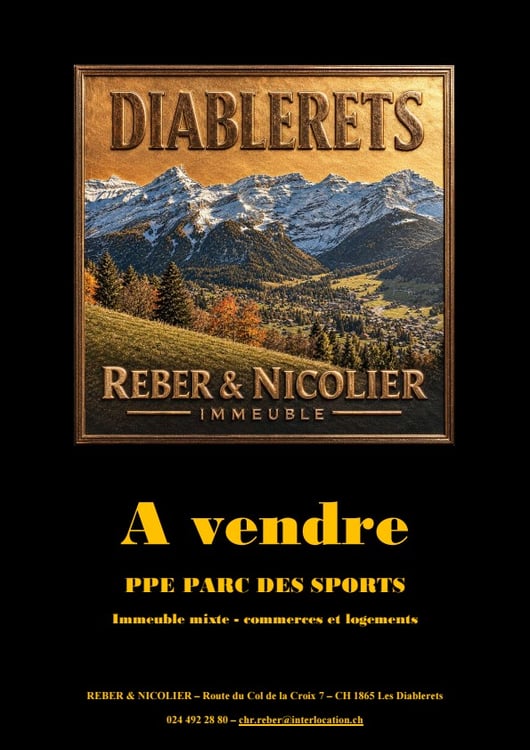 Immeuble résidentiel et commercial à vendre – Les Diablerets 1