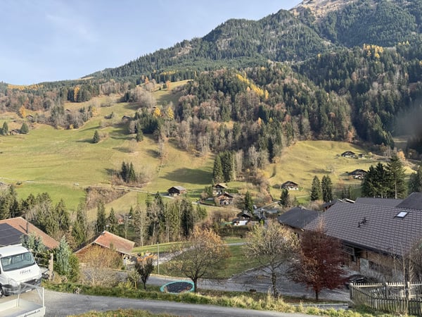 Wohnung 4.5 Zimmer in einem neuen Chalet in Val-d'Illiez 5