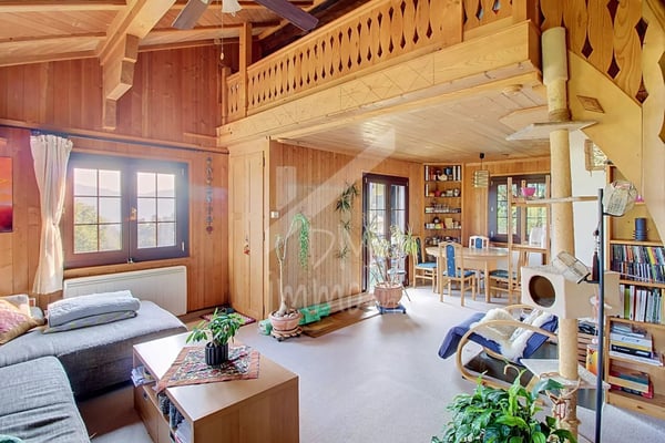 Chalet en madriers, vue lac Léman et montagnes - Vente aux étrangers OK