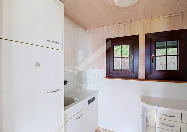 Chalet en madriers, vue lac Léman et montagnes - Vente aux étrangers OK 6