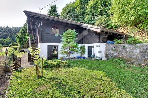 Chalet en madriers, vue lac Léman et montagnes - Vente aux étrangers OK 10