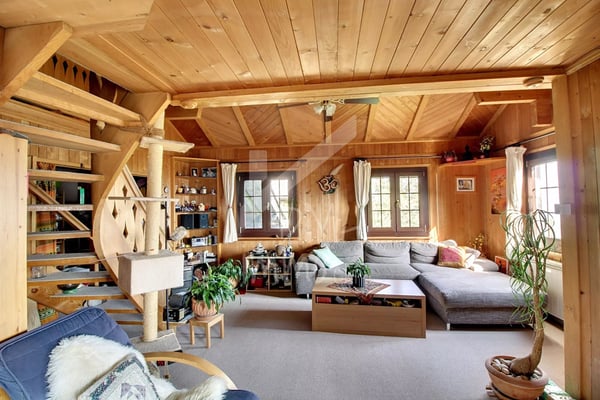 Chalet en madriers, vue lac Léman et montagnes - Vente aux étrangers OK 1