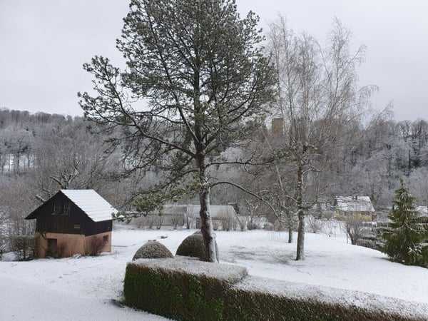 Hôtel de charme à vendre à Boncourt 2