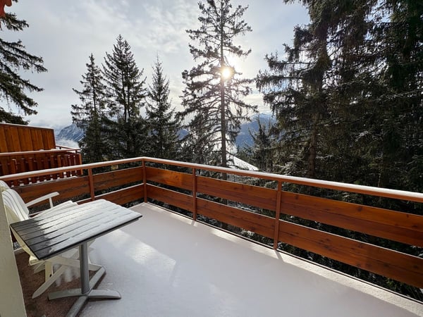 Appartement de 1.5 pièces - situation idéale proche du centre de Montana au calme 10