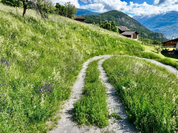 Terrain d'Exception à Icogne -  Vue Panoramique et Ensoleillement Idéal 3