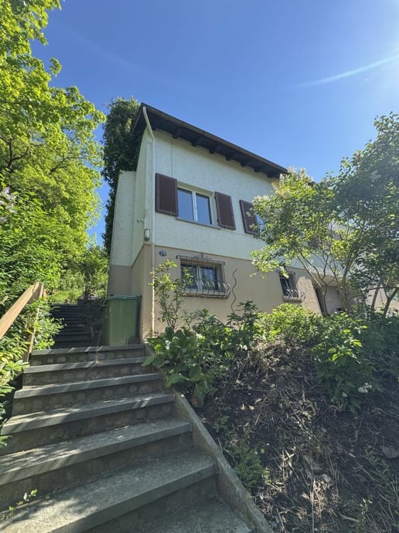 1 ½-Zimmer Einfamilenhaus 1