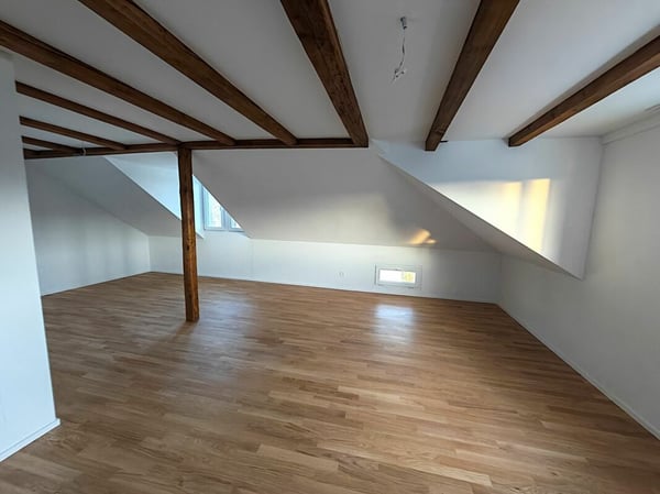 Frisch sanierte 1.5 Zi-Wohnung 5