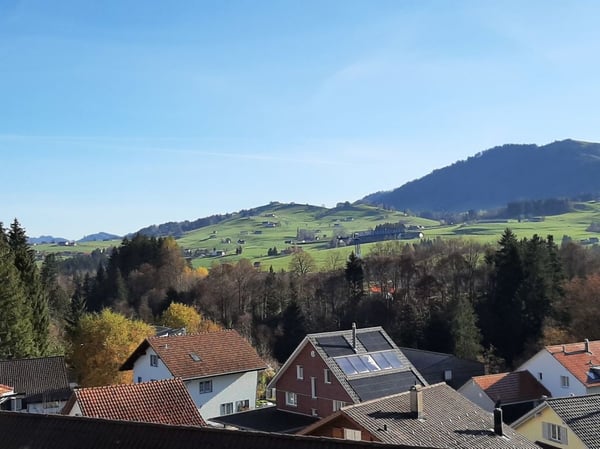 Renovierte Wohnung mit Balkon 2