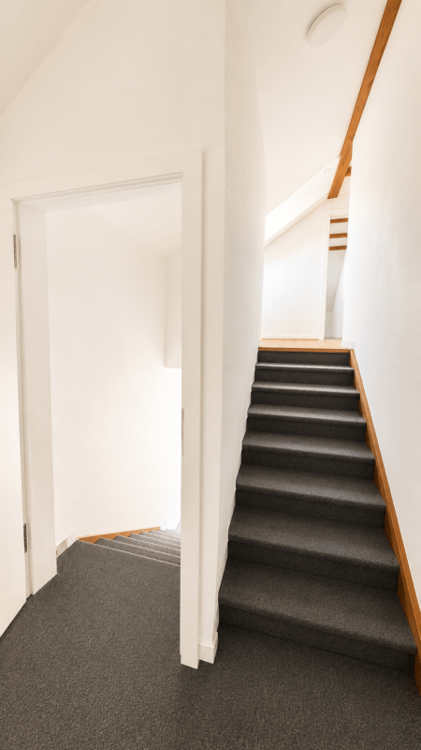 Frisch sanierte 3.5 Zi-Wohnung 8
