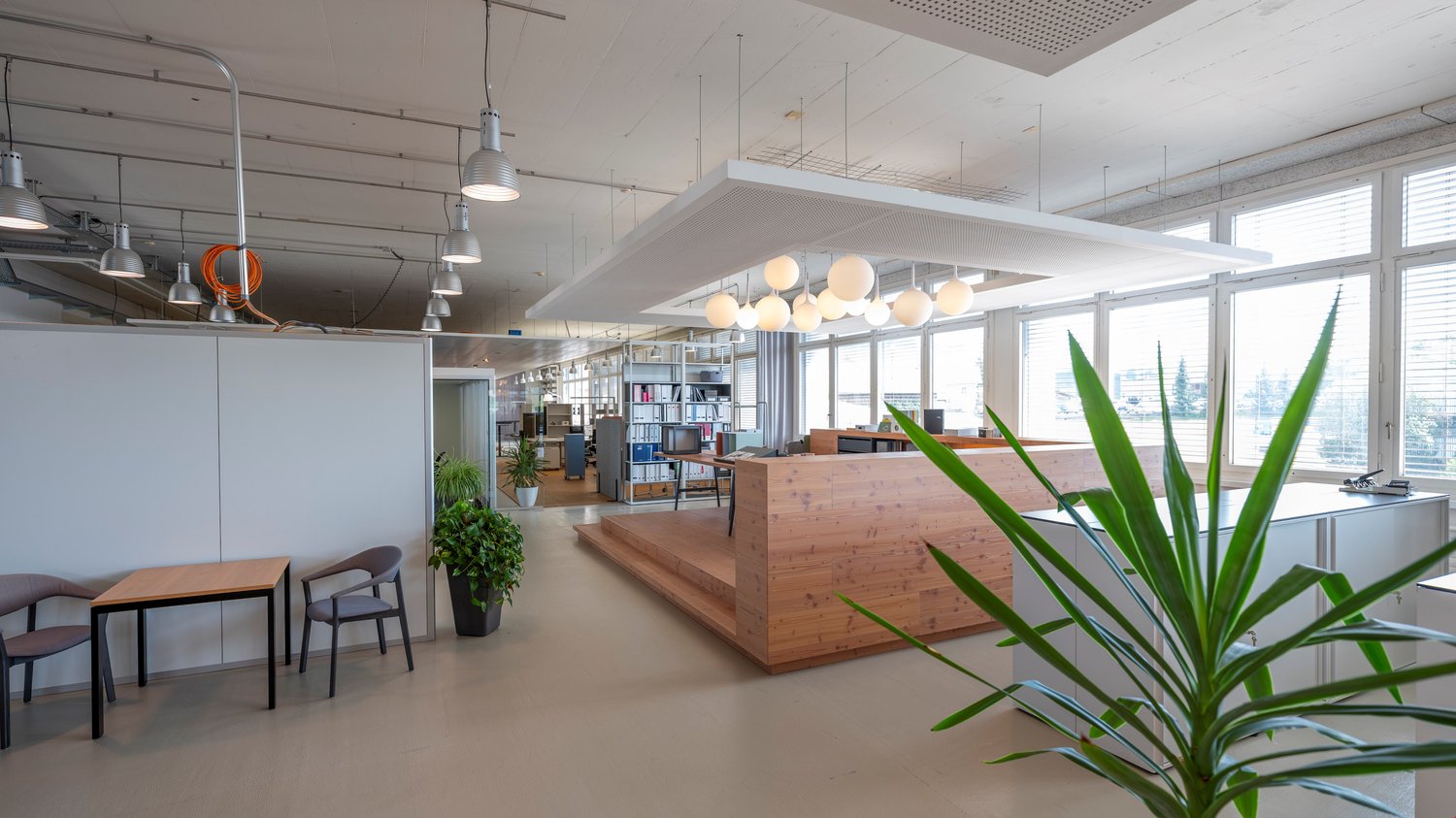 modern office with natural light, desks, chairs, potted plants, and reception area