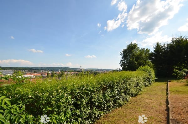 Charmante Wohnung mit eigenem Zugang in ruhigem Wohnquartier 2