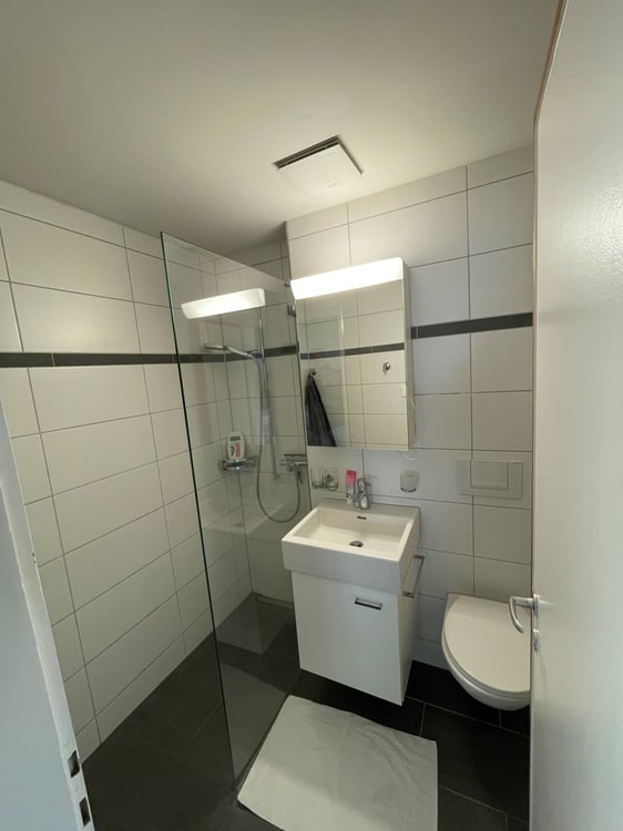 Sonnige, helle Wohnung in ruhigem Wohnquartier 3