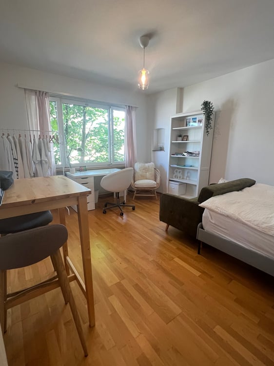 Studio an attraktiver Lage im Weissenbühlquartier 3