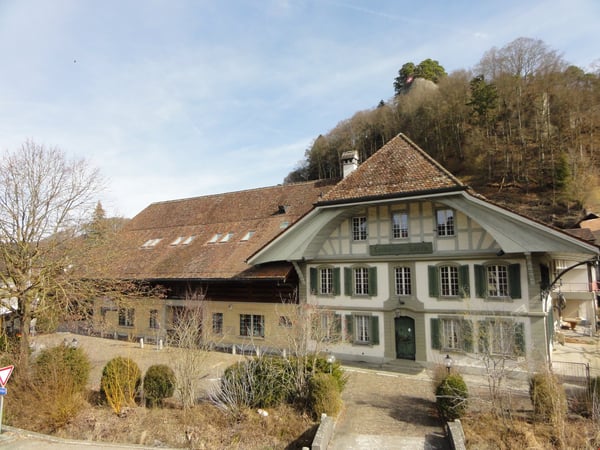 Wohnen in wunderschöner geschichtsträchtiger Galeriewohnung 10