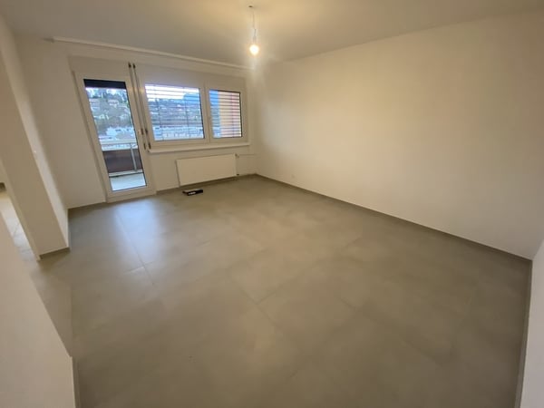 Entièrement rénové avec vue sur le Lac ! 3