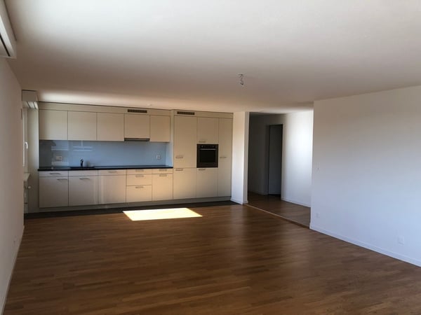 Wohnen am Rheinfall 5