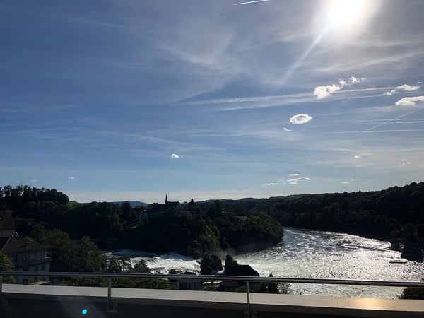 Wohnen am Rheinfall 1