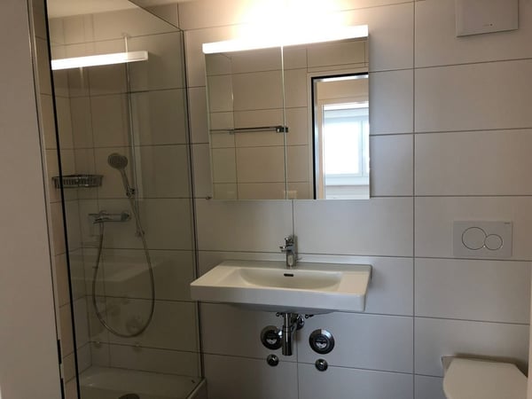 Wohnen am Rheinfall 3