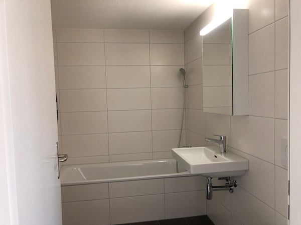 Wohnen am Rheinfall 2