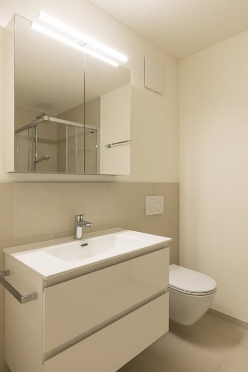 Affittasi 2.5 locali moderno e lumisono a Tenero 6