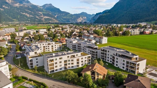 Wohlfühlen und Wurzeln schlagen 10