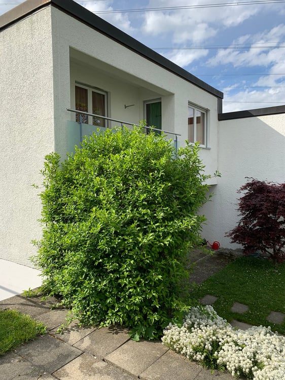 Wunderschönes 1.5-Zimmer-Doppeleinfamilienhaus in ruhiger Lage mit Mietzinsreduktion bis 2027 9