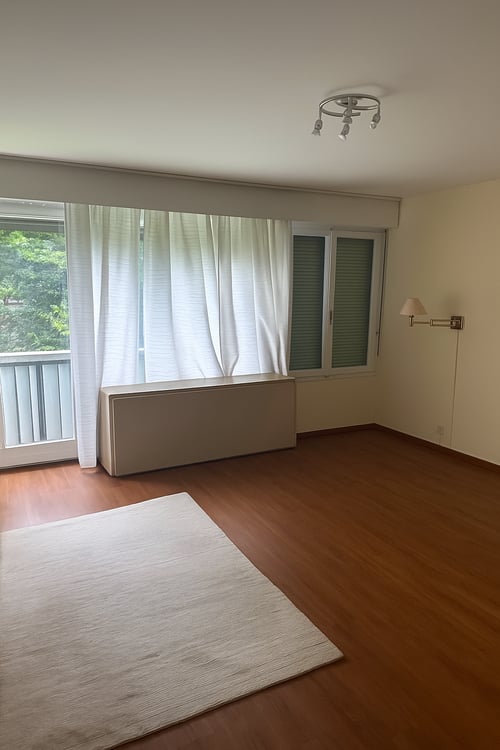 Malagnou ? Spacieux appartement traversant de 1 pièces à deux pas du centre-ville 2