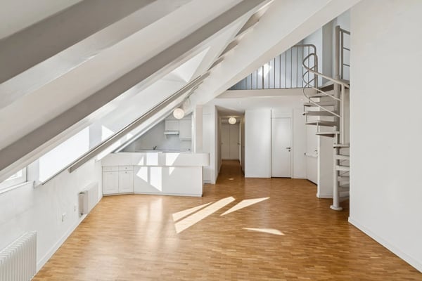 PLEIN CENTRE DE GENÈVE ? RUES BASSES ? ÉLÉGANT DUPLEX AVEC ASCENSEUR 2