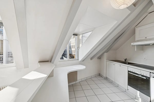 PLEIN CENTRE DE GENÈVE ? RUES BASSES ? ÉLÉGANT DUPLEX AVEC ASCENSEUR 4