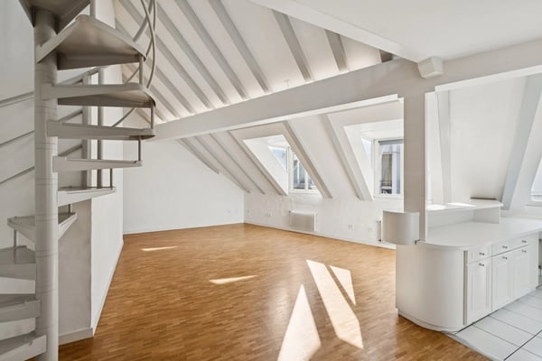 PLEIN CENTRE DE GENÈVE ? RUES BASSES ? ÉLÉGANT DUPLEX AVEC ASCENSEUR 3