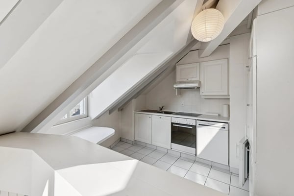 PLEIN CENTRE DE GENÈVE ? RUES BASSES ? ÉLÉGANT DUPLEX AVEC ASCENSEUR 5
