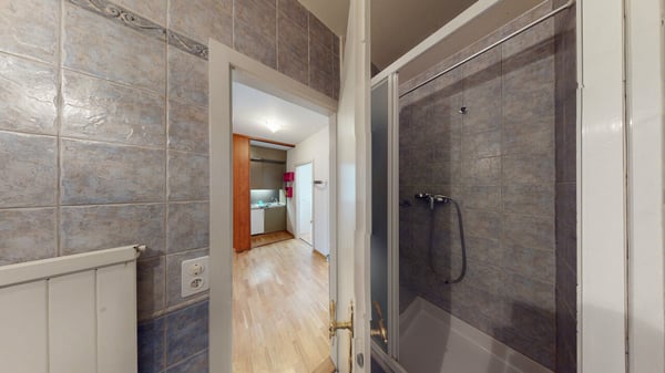 Appartement 1 pièces meublé, proche ONU - Genève 8