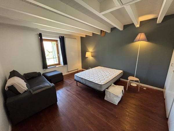 Ferme rénovée idéalement placée - Coeur de Village, Feigères 8