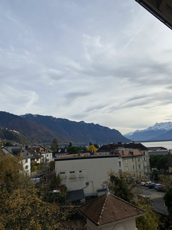 Appartement meublé de 1.5 pièces (disponible pour de courtes durées) 9