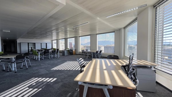 INVESTMENT OPPORTUNITY ? ADMINISTRATIVE SPACES RENTED AT BLANDONNET 2