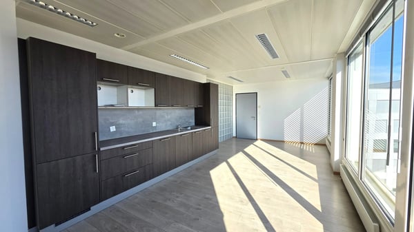 Spacious offices renovated on a high floor ? Blandonnet 6
