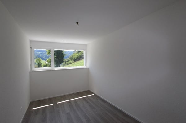 Appartement, St-Ursanne - 533000 9