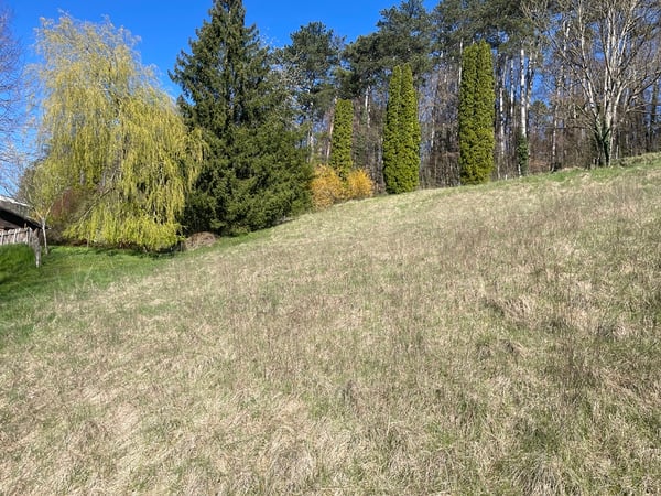 Porrentruy