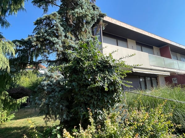 Maison jumelée, Delémont - 530000 1