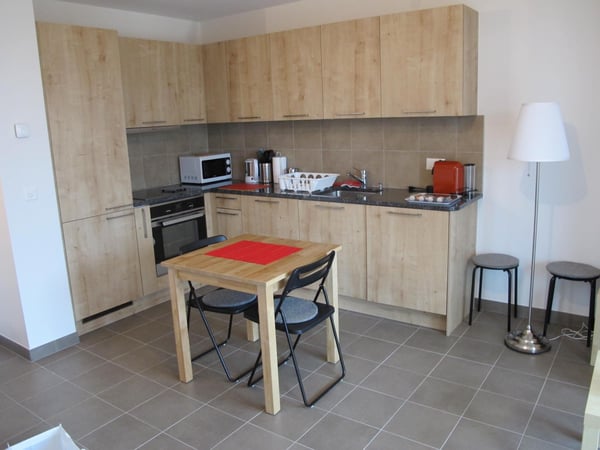 APPARTEMENT 1.5 PIECES (37.5 M2 + GRANDE VERANDA ISOLEE DE 17 M2) 2