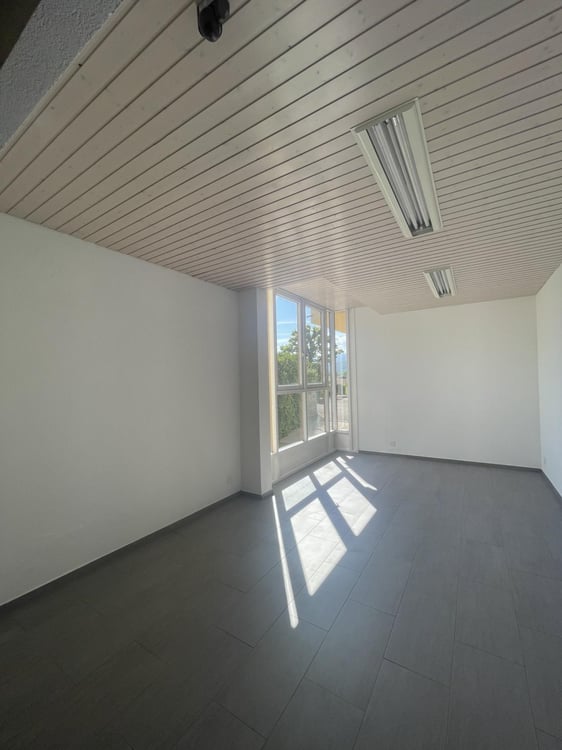 À LOUER ? BUREAU / LOCAL PROFESSIONNEL À BOGIS-BOSSEY 3
