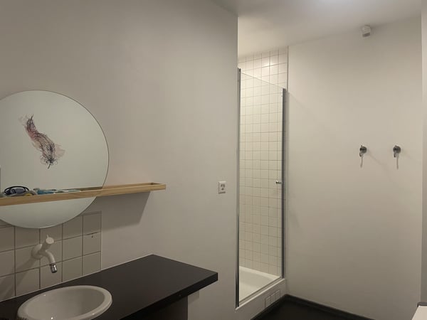 ARCADE COMMERCIALE DE 320 M2 AU COEUR DE NYON 10