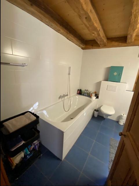 HABITATION VILLAGEOISE - CRANS-PRES-CELIGNY (6 PIECES) 9
