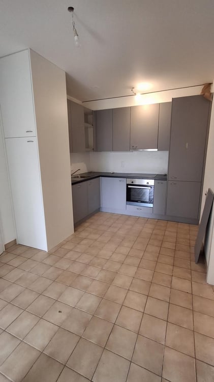 APPARTEMENT 3.5 PIECES - AVEC JARDINET 4
