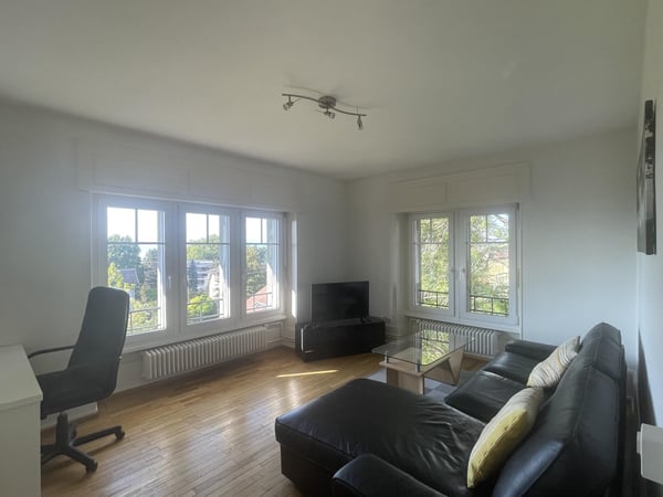 GRAND 2.5 PIECES MEUBLE AVEC VUE SUR LAC 1