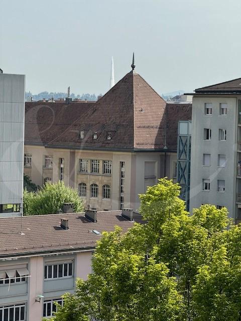 33 Bd. Carl-Vogt, magnifique arcade traversante de 150 m2 2