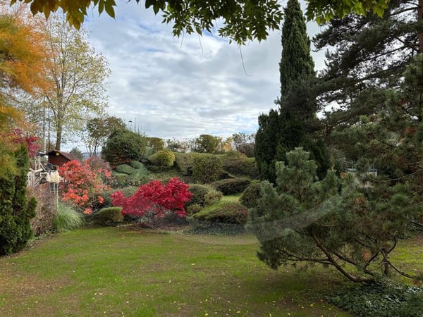 Vorschaubild der Immobilie