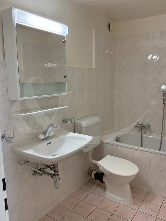 Rue de Carouge 12, Appartement neuf de 3.5 pièces 8